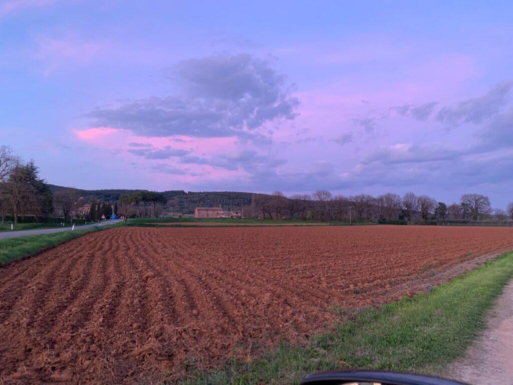 Terra rossa e paesaggio rurale vicino alla Torre dei Petricci al tramonto.