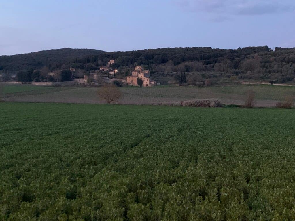 Antico castello Torre Dei Petricci su colline toscane, paesaggio rurale e vigneti.